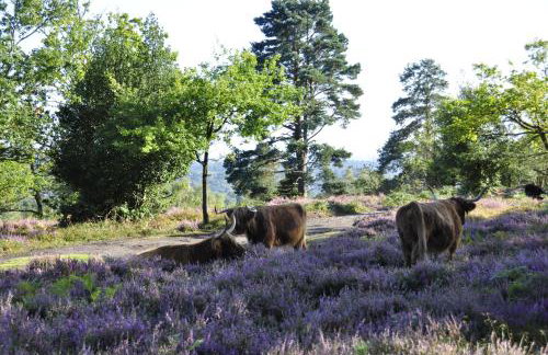 The Old Cook's House - Foto 38