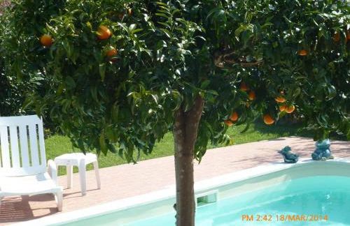 Casal da Cortiçada - Foto 29