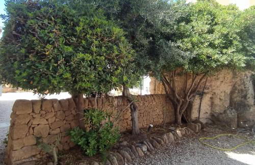 Villa Marina - Foto 23