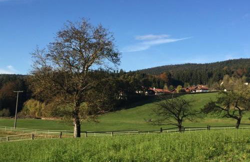 Ferienwohnung Hauzenberg Blick - Foto 29