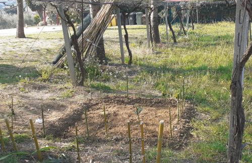 Pier Delle Vigne B&B - Foto 45