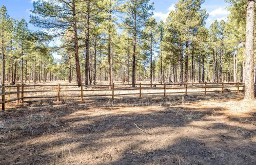 Pinewood Lodge - Backs to Forest - Near Downtown! - Foto 20