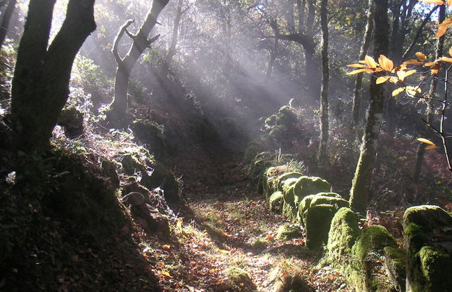 A Casa da Eira - Foto 31
