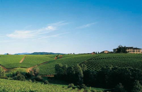 Agriturismo Tenuta la Marchesa - Foto 12