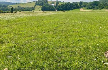 U Ewy pod Brzozami - Foto 58