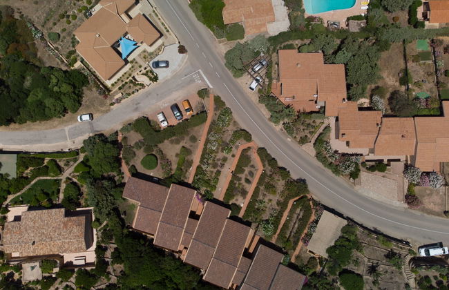 Corbezzolo - Foto 22