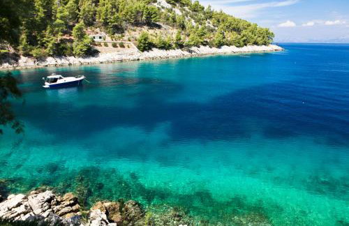 Robinson Srdelica - Foto 13