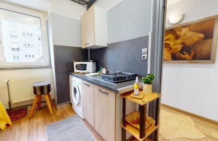 Les Cigognes d'Alsace - Photo 14