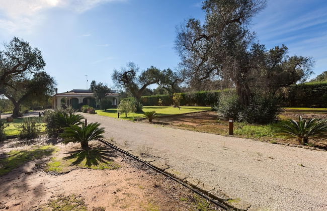 Podere Corde di Lana - Foto 36