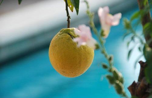 Hotel - Appartements Schmied Hans - Photo 79