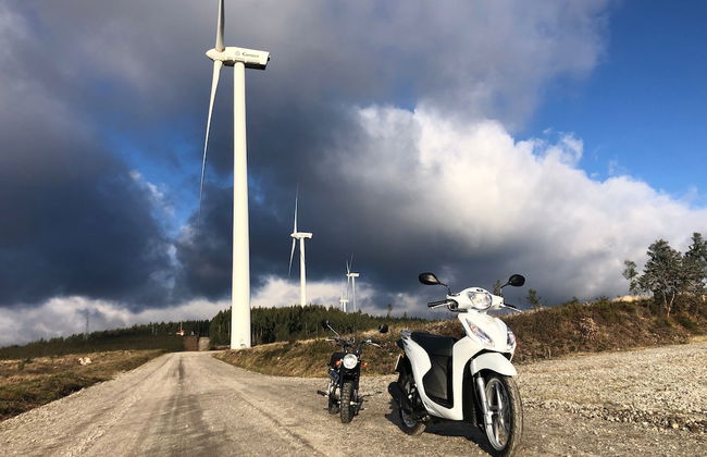 Mimosa Village - Foto 61