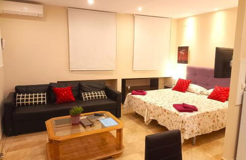 Flamencos del cerrado - Photo 27