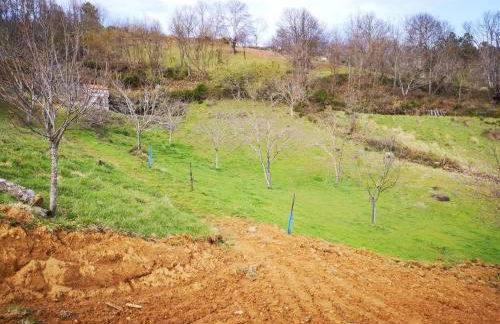 Alojamento Local Madre de Cima - Foto 41