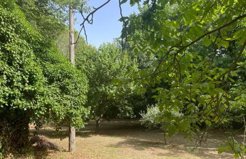 A casa di Bia - Foto 31