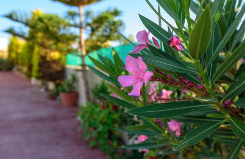 Villa Apollon - Photo 21