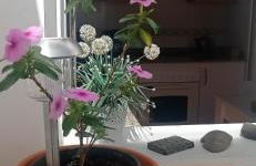 GAVIOTA RELAX - Foto 18