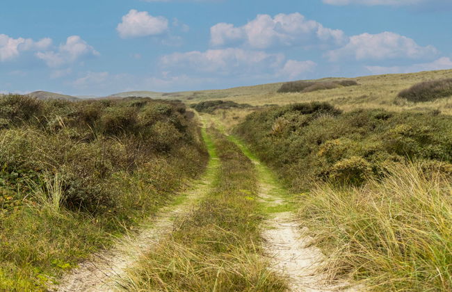 Pavilion 4 - Foto 22