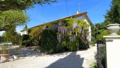 Mas de St-Andiol - Foto 3