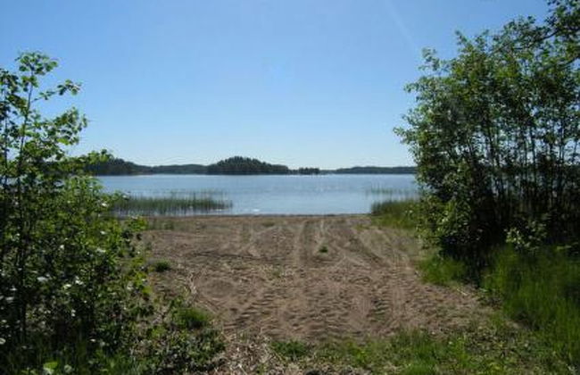 Metsämarja - Foto 3