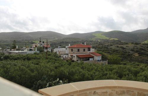 Aloni Studio - Foto 12