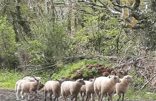 The Studio with Terrace and EV point - Photo 33