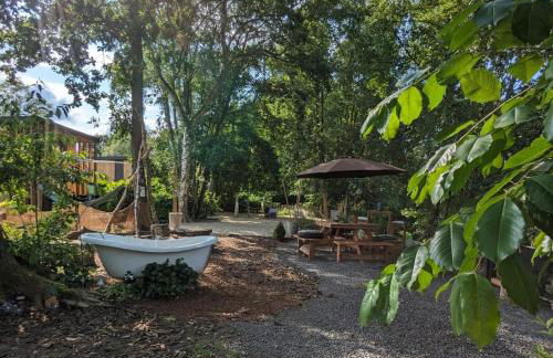 Tinyhouse Nelson - Foto 13