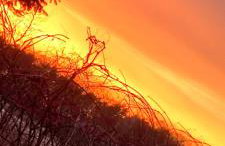 Żurawisko - Domki wśród natury - Foto 47