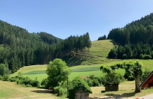 Waldbauernhof - Photo 8