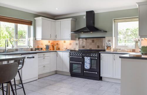 Rhosyn Gwyn - Foto 6