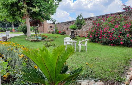 CORTE MORONA - Foto 8