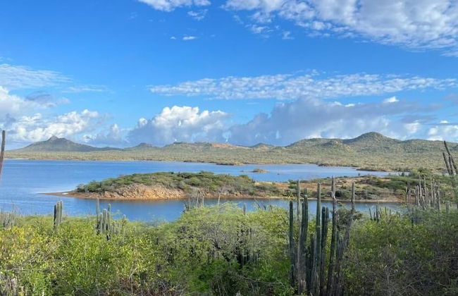 Bonairean Loft - Foto 16