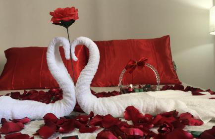 Espaço Zen - Equilíbrio da Alma - Foto 19