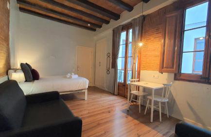 Barrio Gotico Apartments Ferran - Foto 44