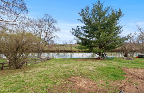 Creekside Stay | Peaceful Cottage | Elkhorn - Foto 48