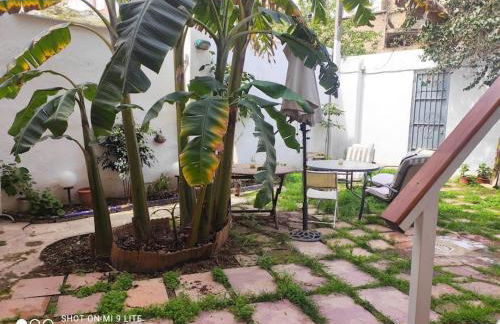 Precioso apartamento con a/a en Ruzafa con terracita privada y acceso a un jardín, para 2-3 personas - Photo 18