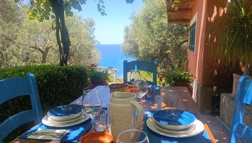 Ville Selena e Gemma - Foto 4