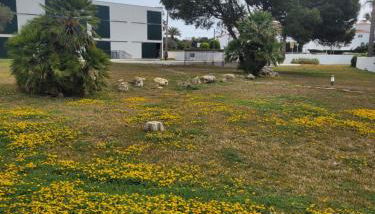 Cala en Bosc appartamento con piscina - Foto 3, Garden