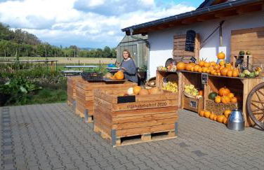 Ferienwohnung Wilhelmshof Sinzig - Foto 10