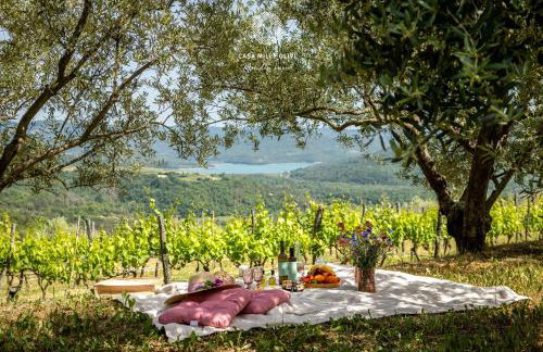 Casa Mille Olivi - Peaceful Lake View House, Private 50m2 Pool, near Motovun - Photo 56