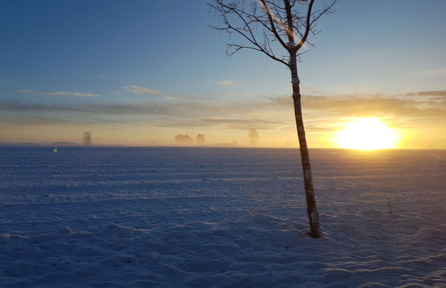 Studio - Landhotel Sonnenfeld - Foto 20