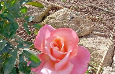 Casolare Giardino Aiarella-Assunta - Foto 43