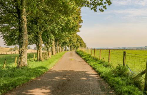 Todridge Barn - Foto 29