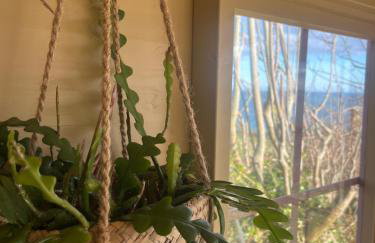 The Pink Cottage upstairs suite & Garden Summer Room - Foto 77