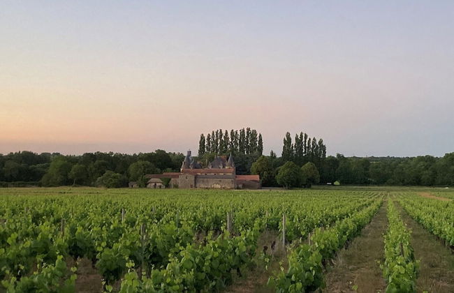 Château de la Preuille - Foto 12