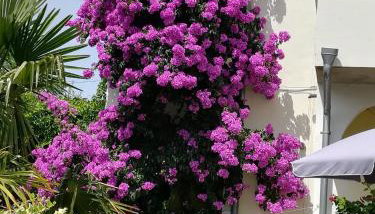 Oaza Tribunj Sea View - Foto 4