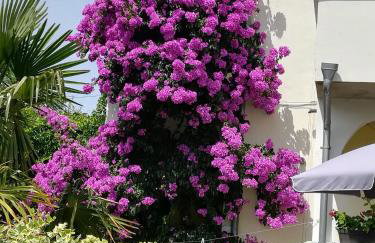 Oaza Tribunj Sea View - Foto 4