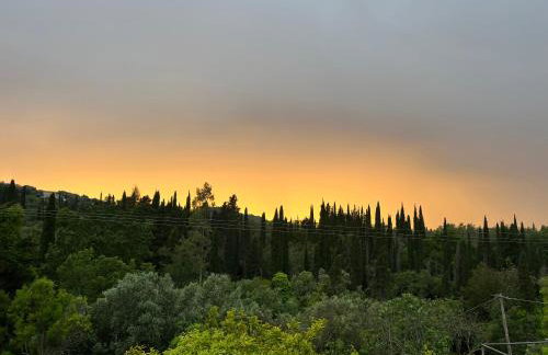 Villa Mariza Corfu - Foto 68