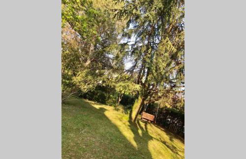 La Dolce Vita. Alloggio nel verde cuore del Friuli Venezia Giulia - Foto 32