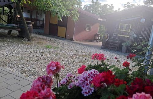 Paun - Photo 24