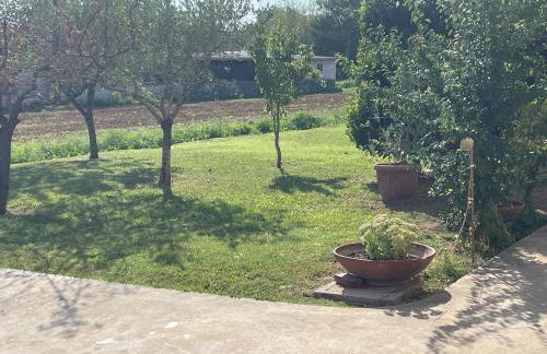 A Casa di Ale - Foto 37